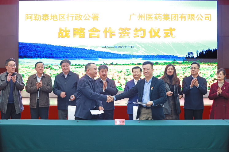 廣藥集團首期萬畝白雲山闆藍根GAP種植基地(dì)落戶新疆阿勒泰